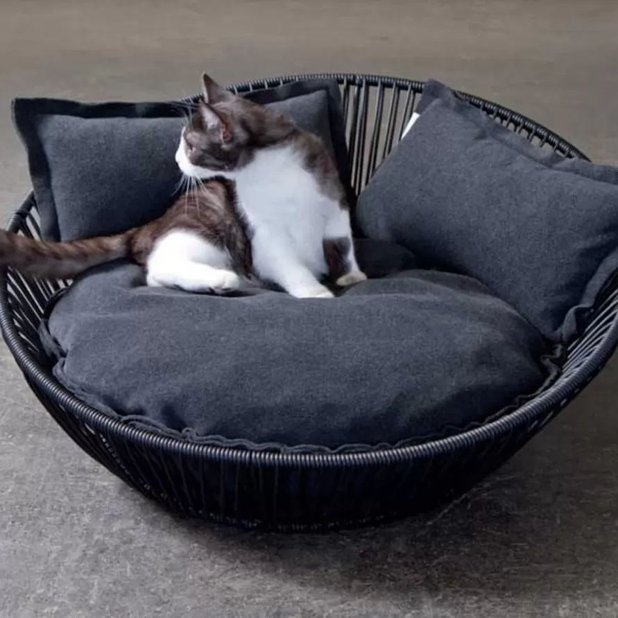 Kedi Yatak ve Sepetleri