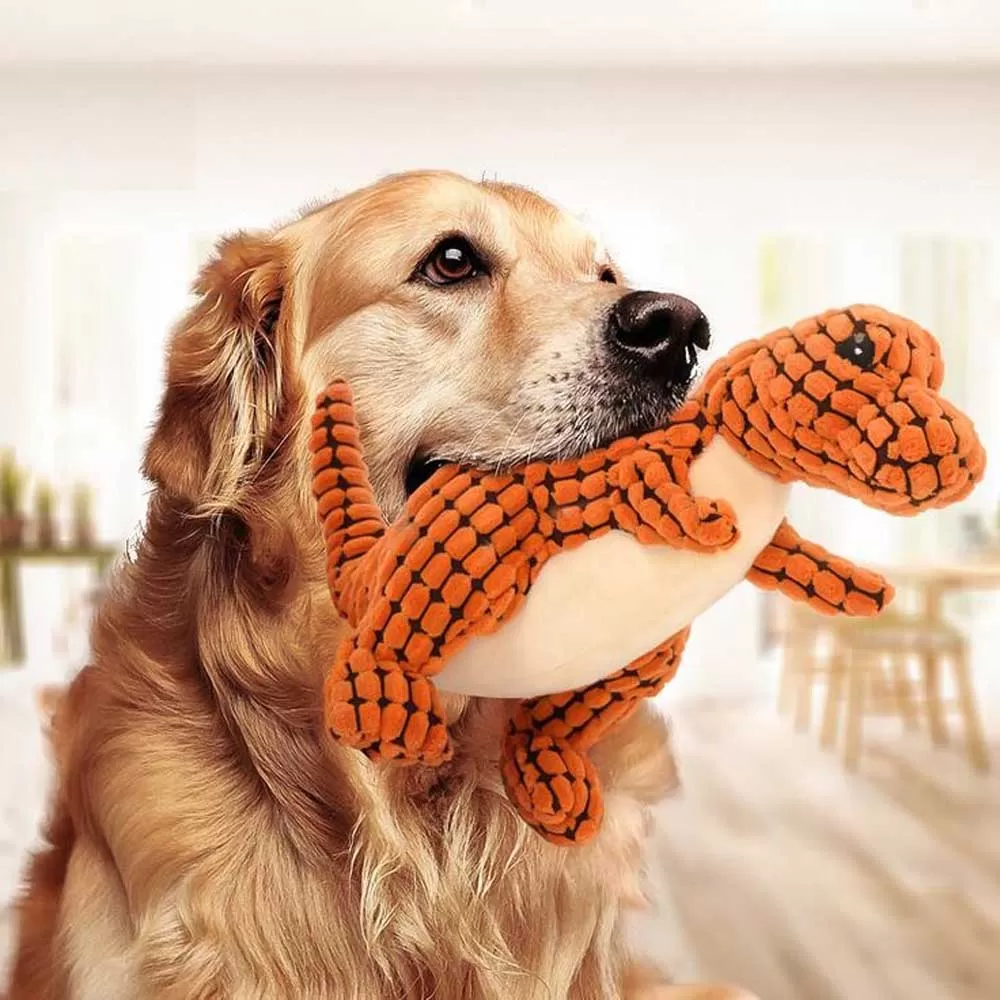 Köpek Oyuncakları